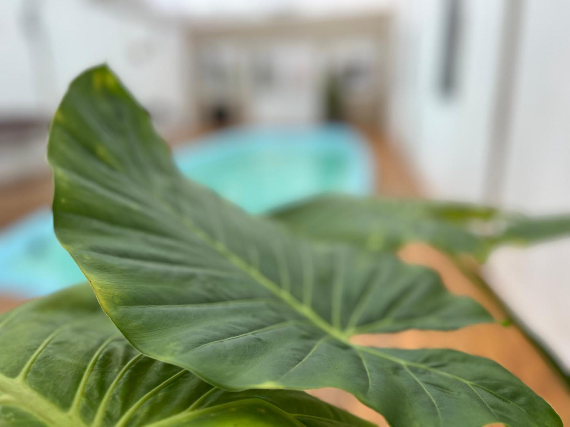 Hotel Gran Continente San Clemente del Tuyú Dış mekan fotoğraf