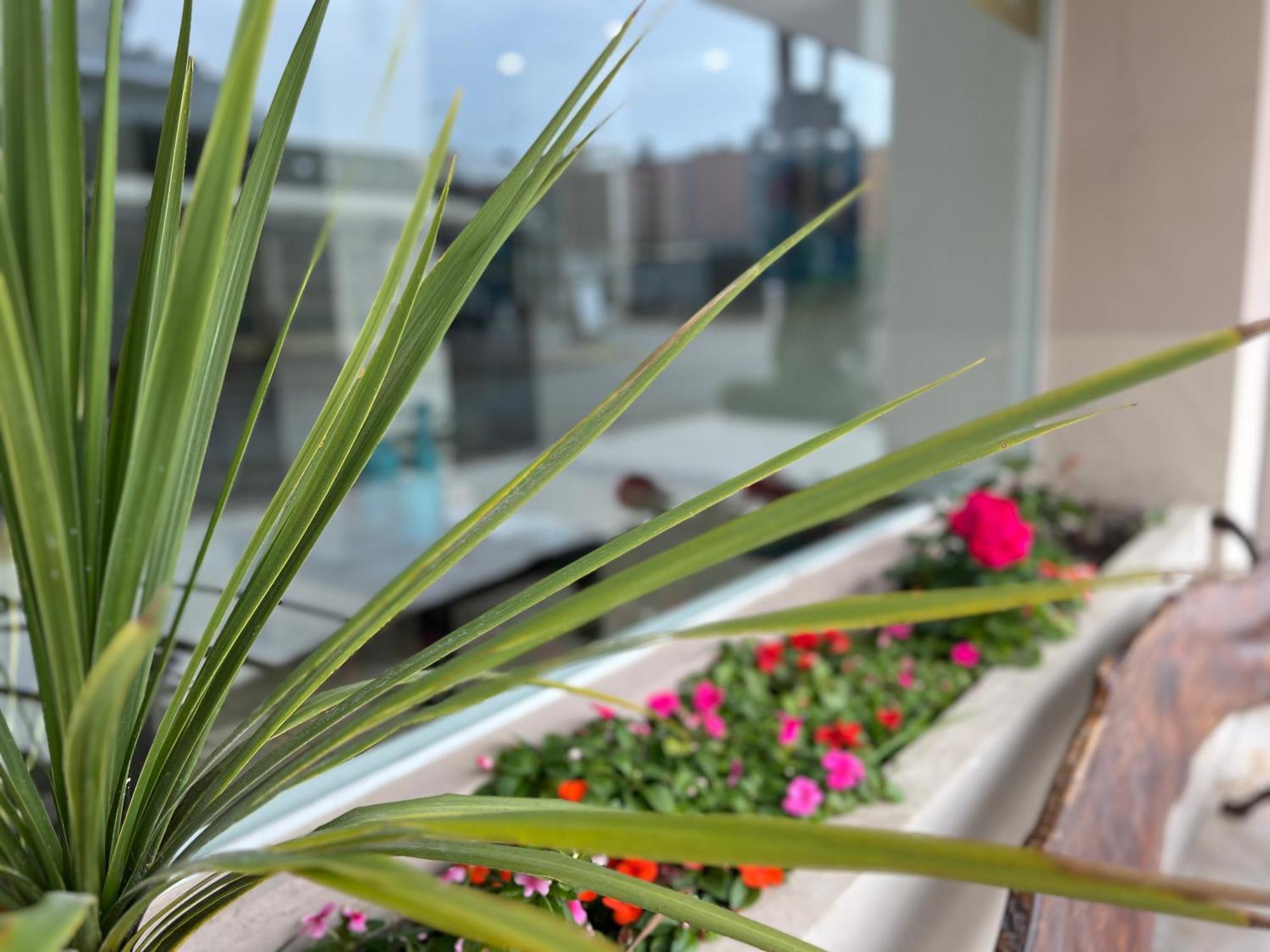 Hotel Gran Continente San Clemente del Tuyú Dış mekan fotoğraf